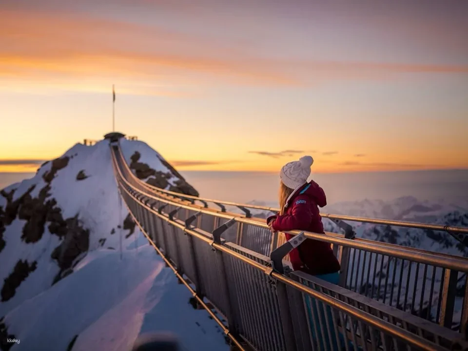 Glacier 3000 cable car ticket | Switzerland