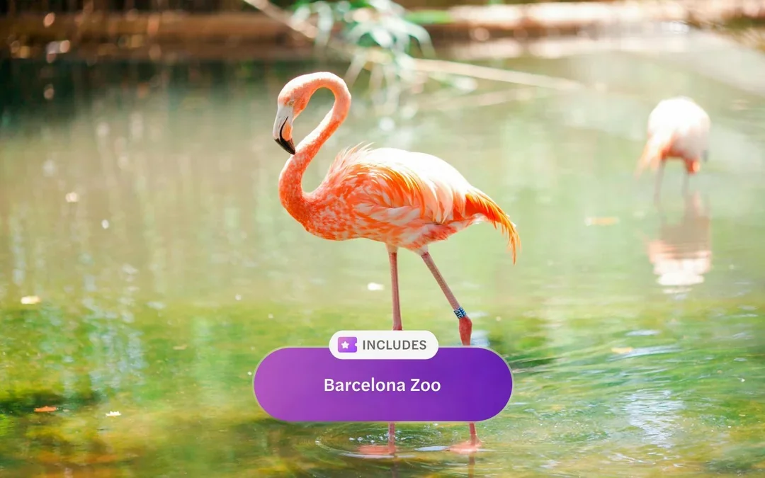 Go City Barcelona Explorer Pass: Choose from 45 Attractions Image 10
