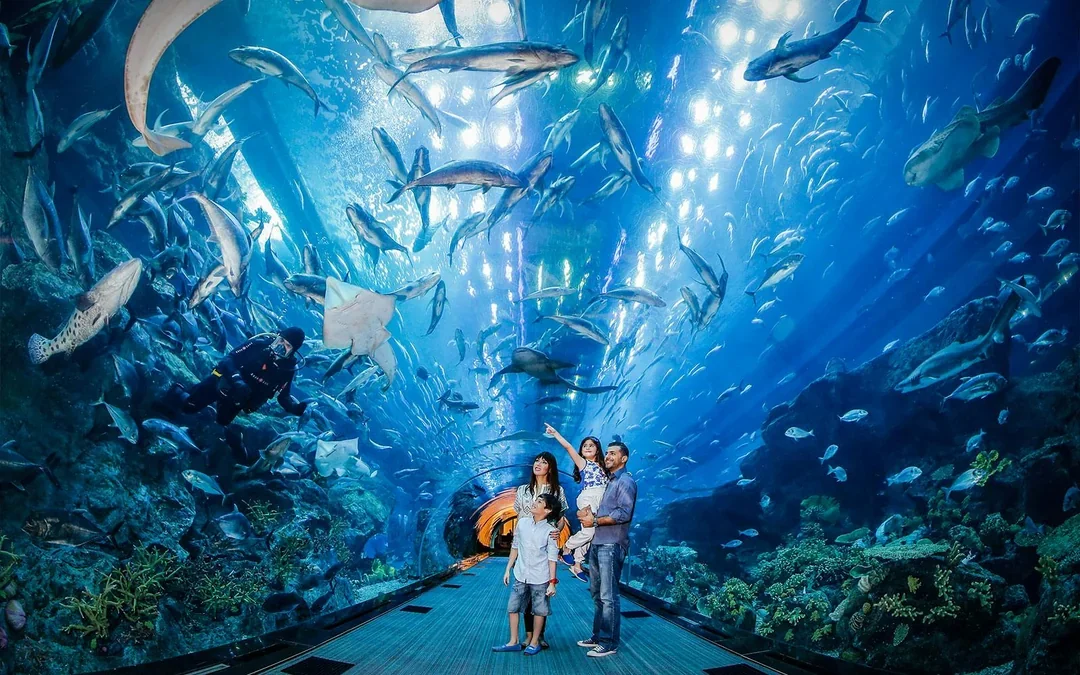 Go City Dubai All-Inclusive Pass: Choose 2 to 7-Day Pass Image 4