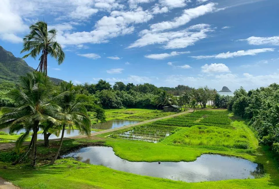 Go City | Oahu Explorer Pass | Hawaii