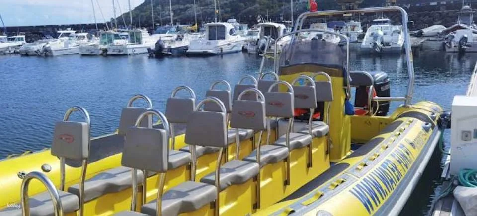 Goat islets guided boat tour from Terceira