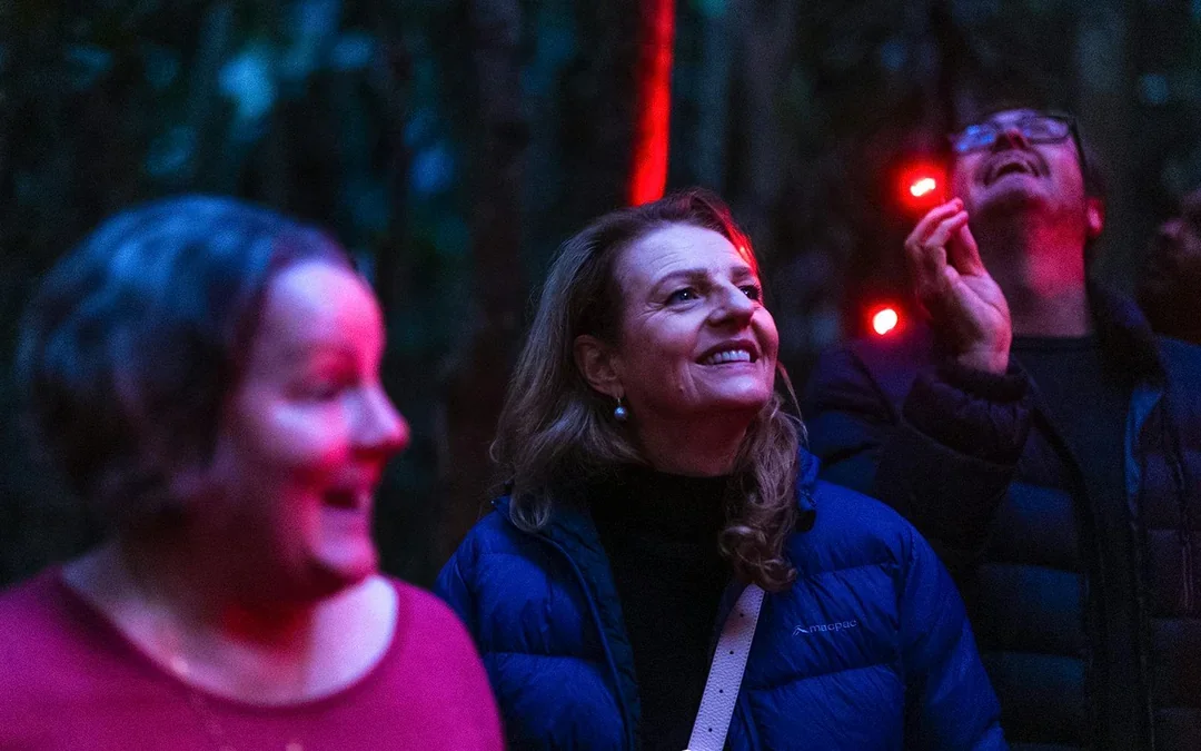 Gold Coast: Mt Tamborine Rainforest Night Walk with Glow Worms & Waterfall Image 2
