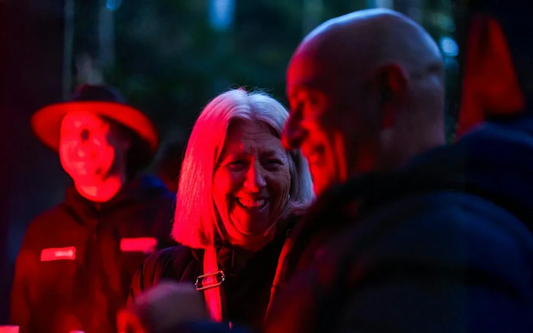Gold Coast: Mt Tamborine Rainforest Night Walk with Glow Worms & Waterfall Image 4