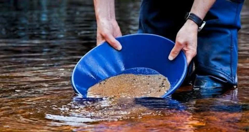 Gold panning adventure in Karlsruhe