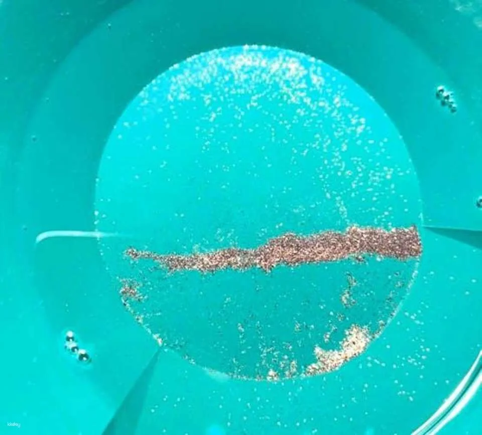 Gold panning adventure in Karlsruhe