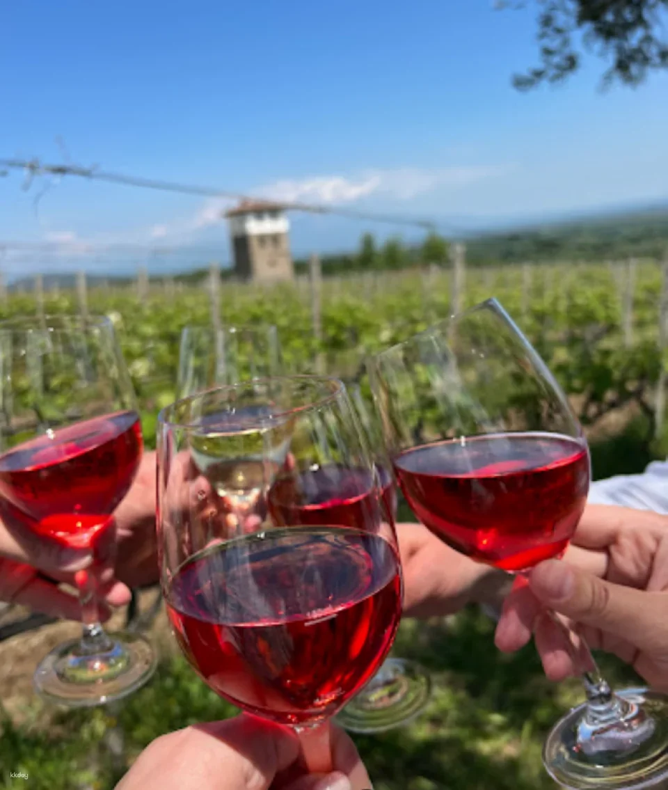 Greece Thessaloniki Winetasting Tour