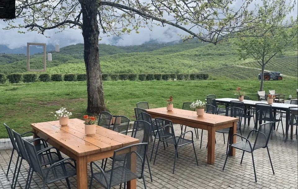 Greece Thessaloniki Winetasting Tour