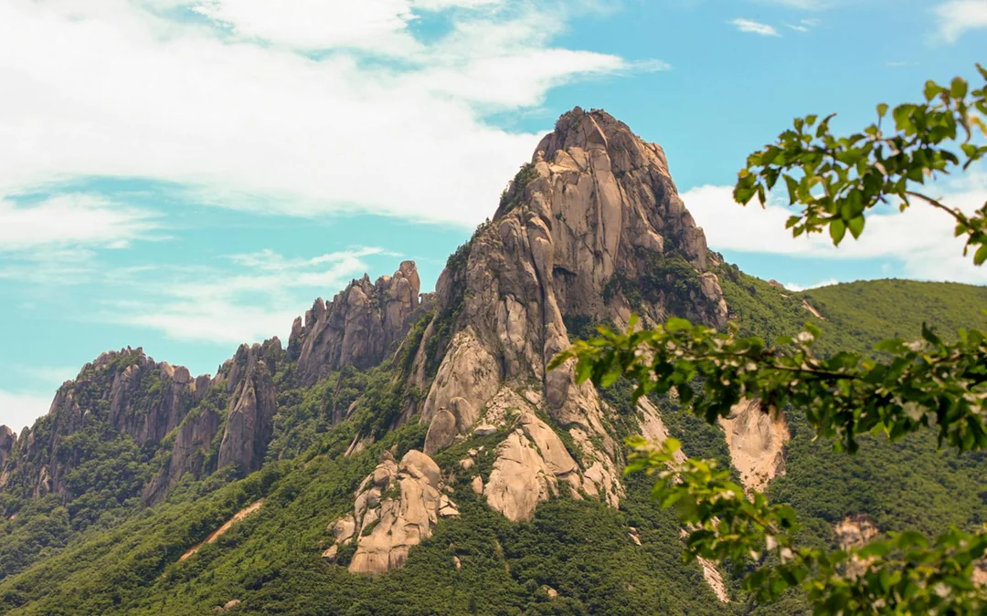 Guided Day Tour of Mt. Seorak & Naksansa Temple with Transfers Image 2