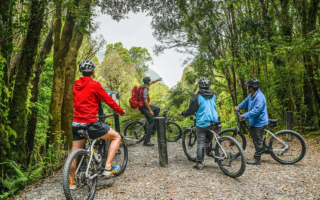 Guided E-Bike & Hiking Fox Glacier Valley Tour
 Image 2