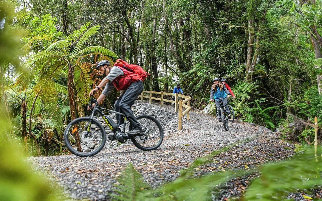 Guided E-Bike & Hiking Fox Glacier Valley Tour
 Image 3