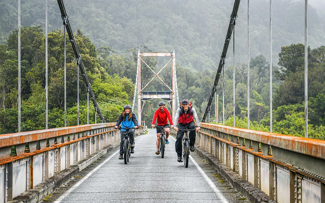 Guided E-Bike & Hiking Fox Glacier Valley Tour
 Image 5
