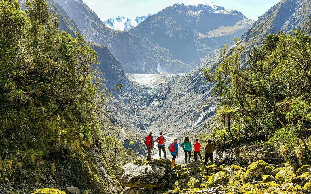 Guided E-Bike & Hiking Fox Glacier Valley Tour
 Image 6