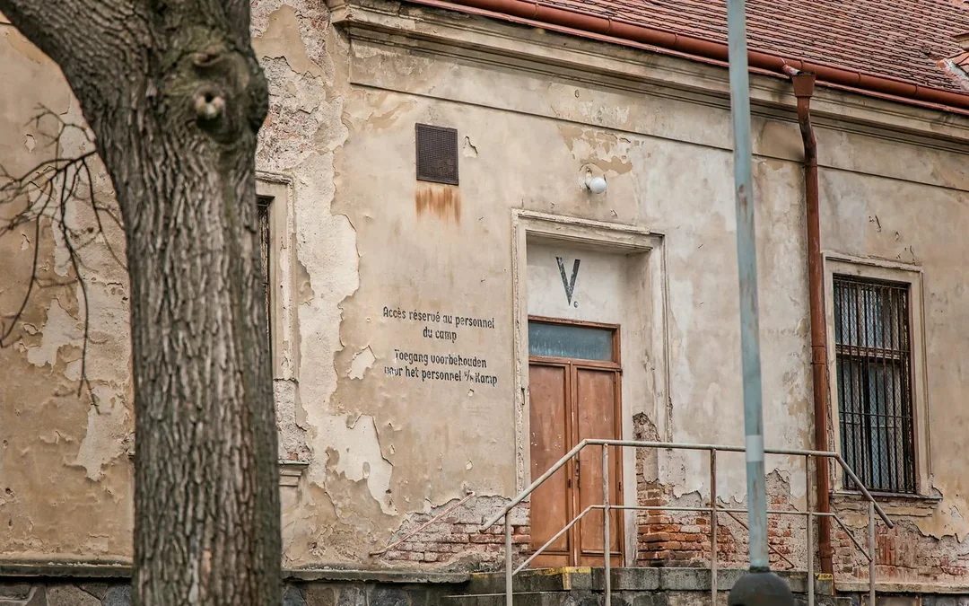Guided Tour of Bohnice Psychiatric Hospital and Abandoned Cemetery in Prague Image 10