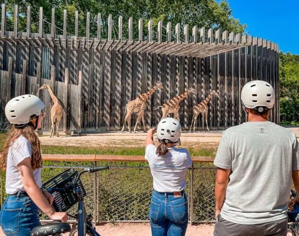 Guided Tour of Lyon's Parc de la Tête d'Or with a local guide