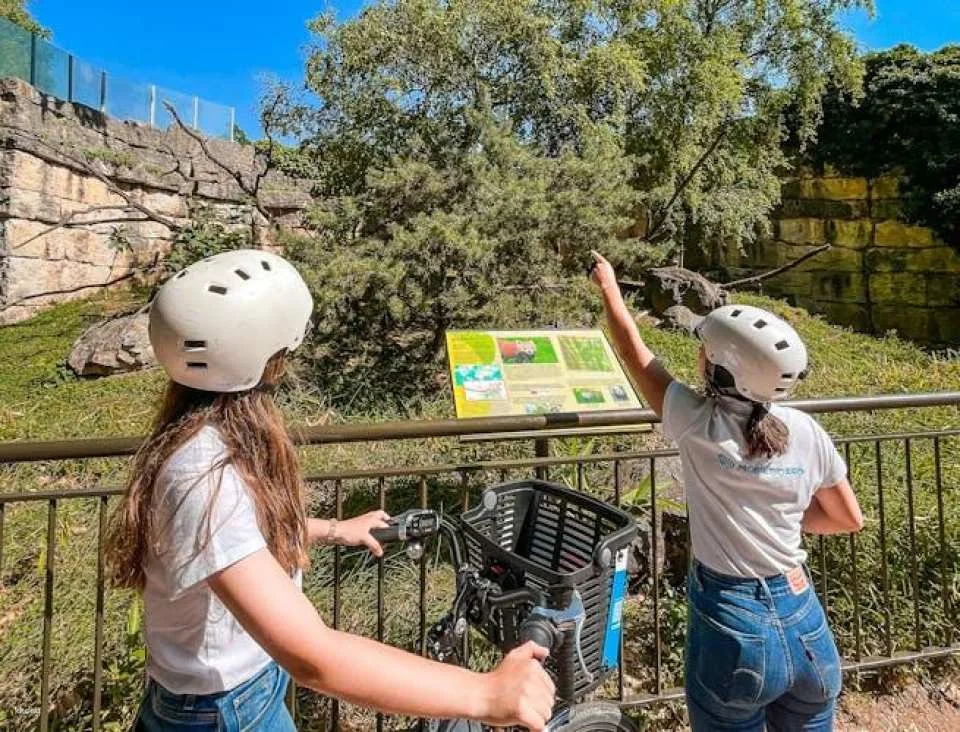 Guided Tour of Lyon's Parc de la Tête d'Or with a local guide