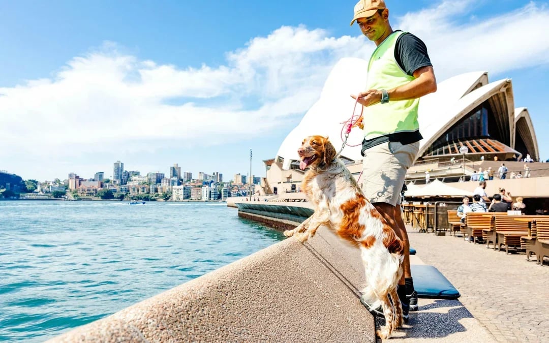 Guided Tour of Sydney Opera House with Meals and Drink Image 5