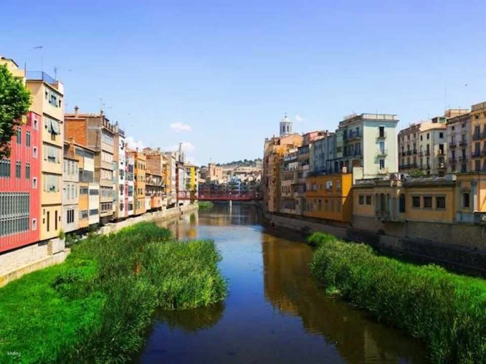 Guided tour to discover Lille accompanied by a local