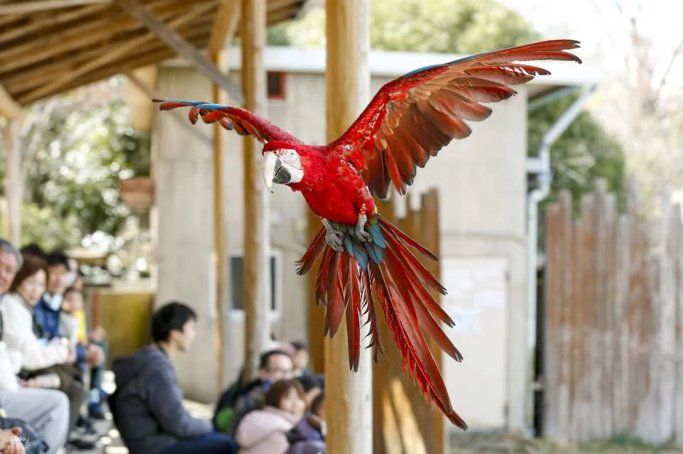 Gunma Wildlife Park, Japan | Electronic Admission Ticket