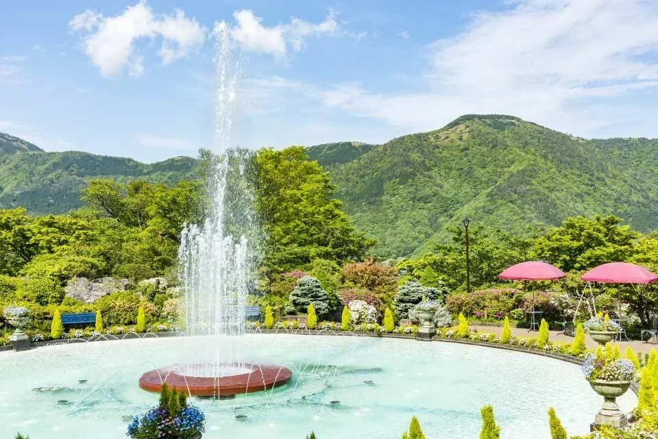 Hakone Gora Park admission ticket + tea ceremony experience (Hakone, Kanagawa Prefecture)