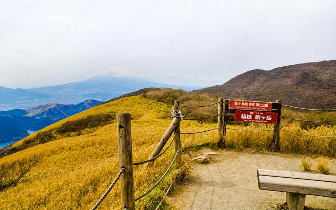 Hakone Komagatake Ropeway Round-Trip Tickets Image 9