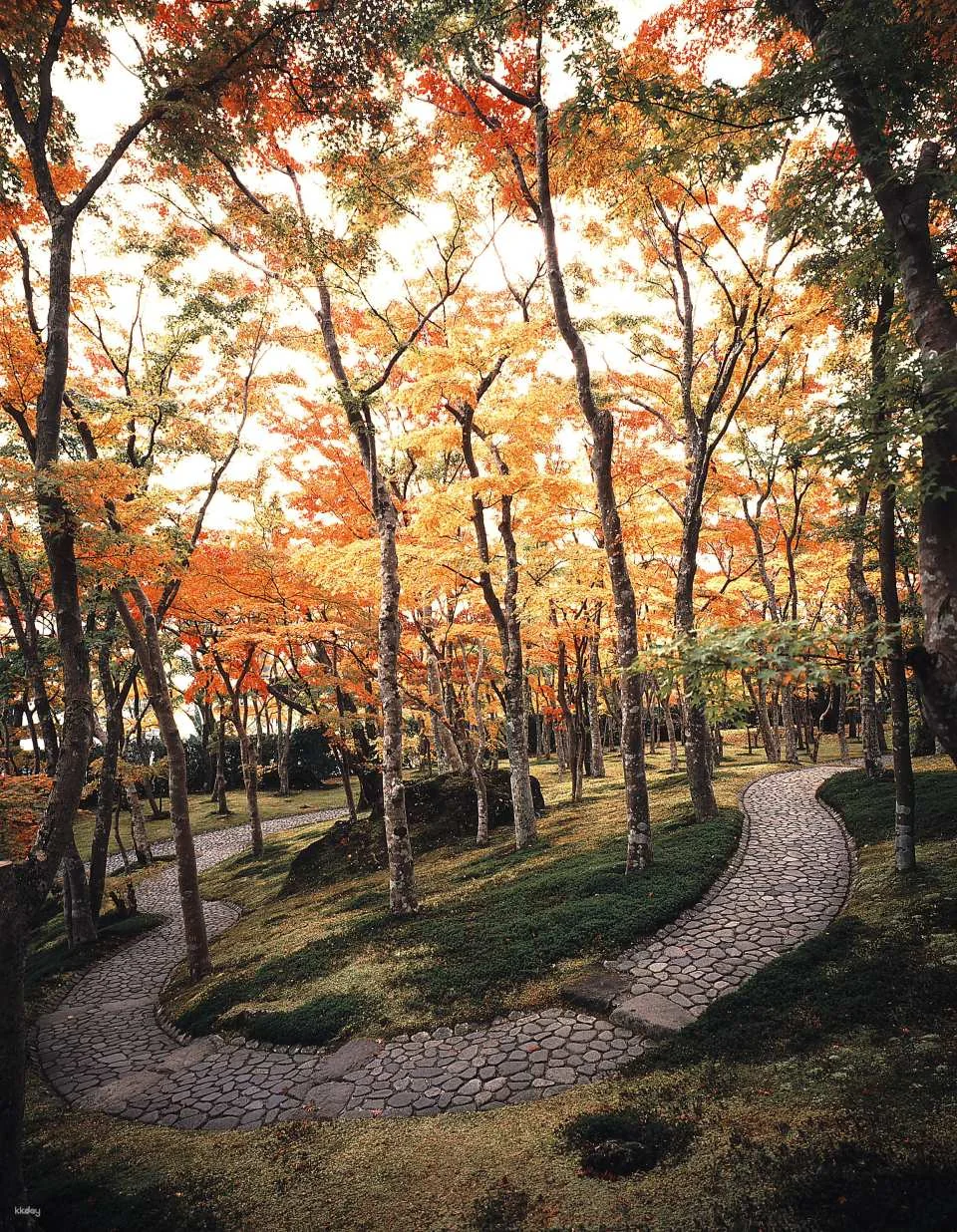 Hakone Museum of Art: Admission Ticket Reservation | Kanagawa, Japan