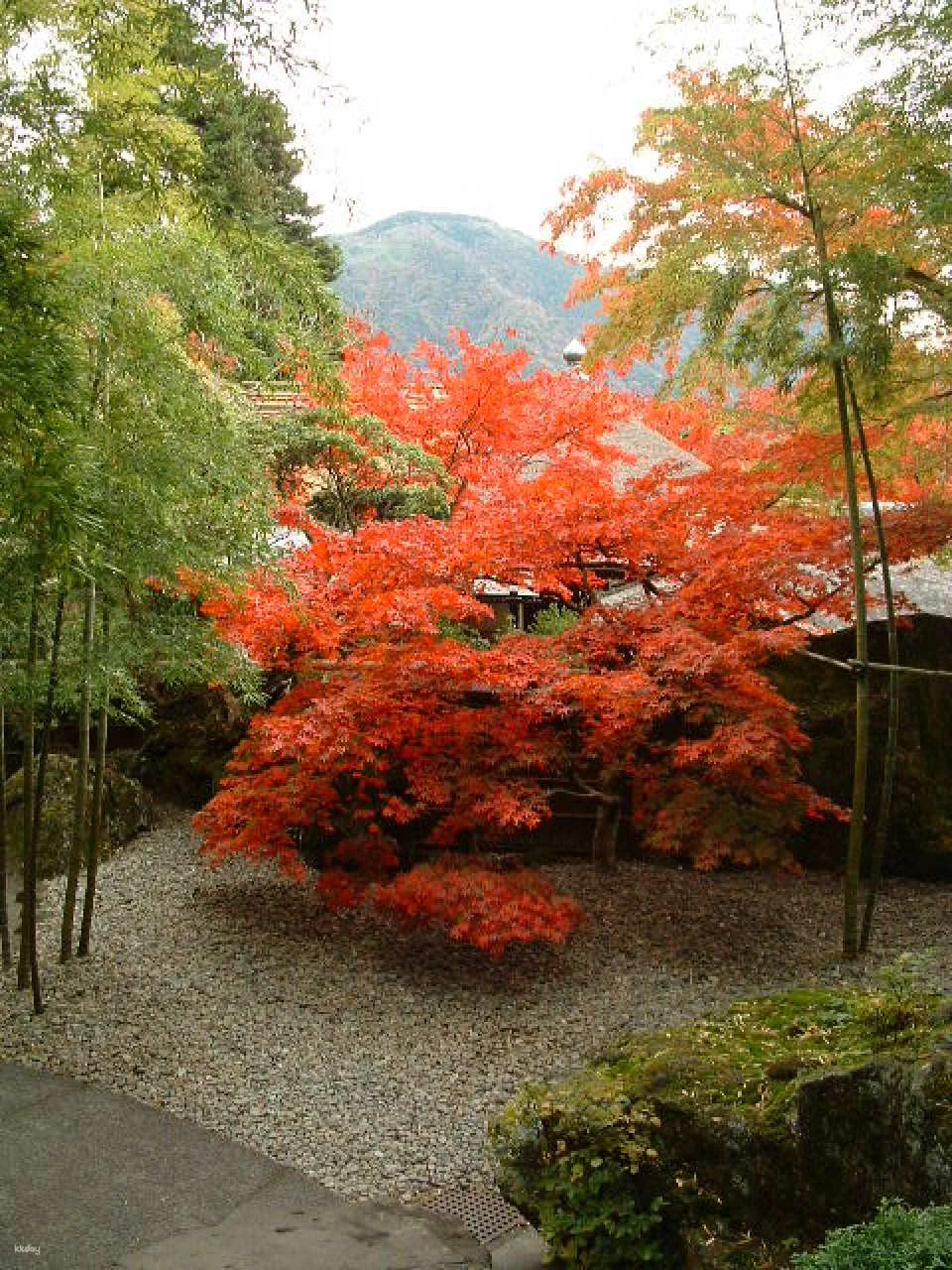 Hakone Museum of Art: Admission Ticket Reservation | Kanagawa, Japan