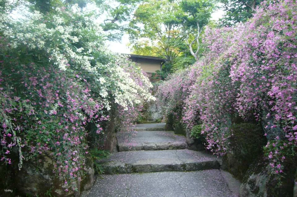 Hakone Museum of Art: Admission Ticket Reservation | Kanagawa, Japan