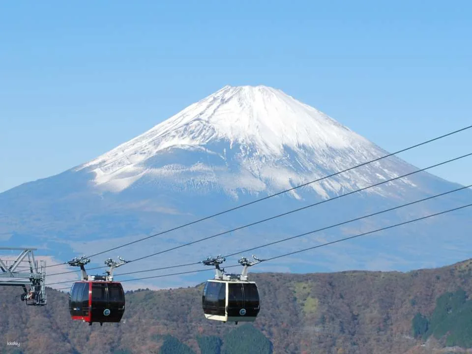 Hakone Ropeway One-Way & Round-Trip Tickets (Kanagawa Prefecture, Hakone)