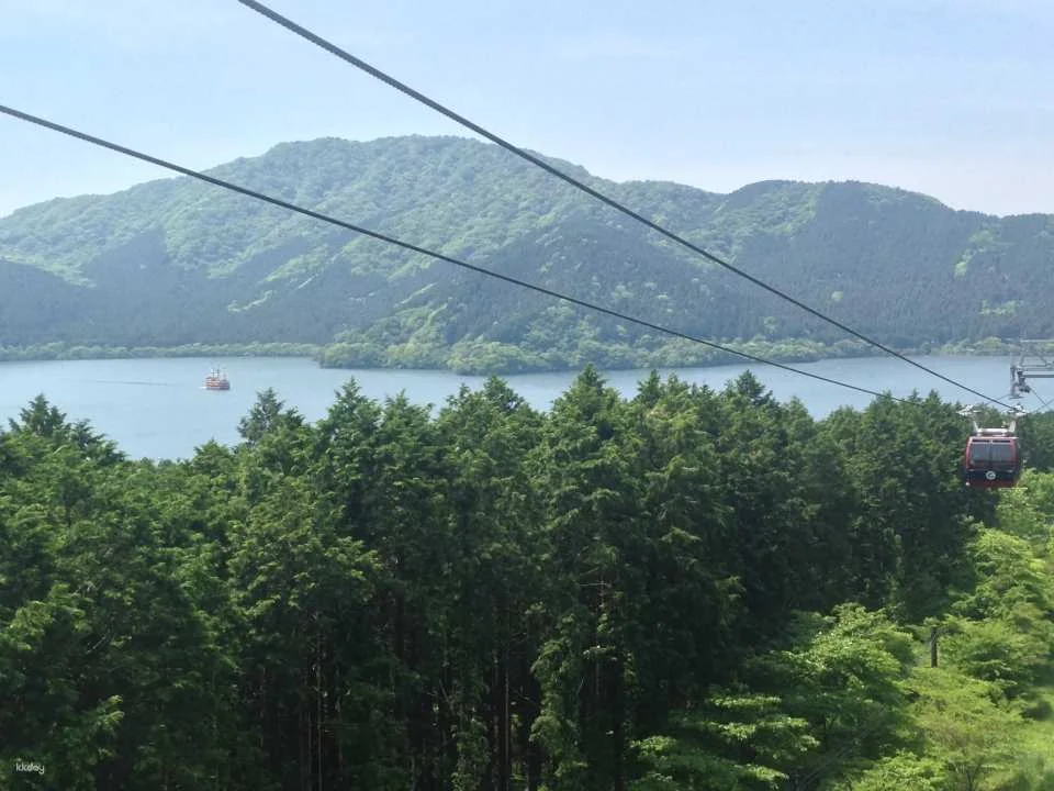 Hakone Ropeway One-Way & Round-Trip Tickets (Kanagawa Prefecture, Hakone)