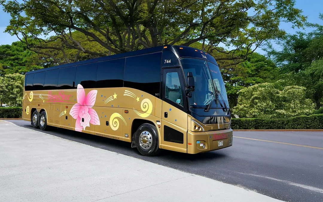 Haleiwa & Dole Plantation Express Half-Day Tour Image 5