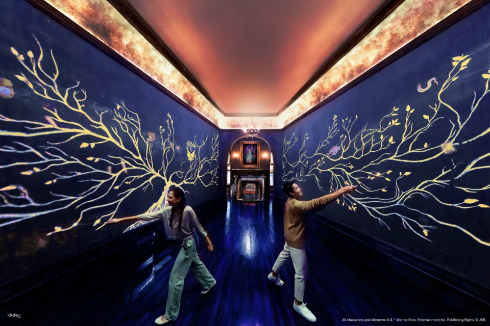 Harry Potter: Visions of Magic at Resorts World Sentosa Admission Ticket | Singapore