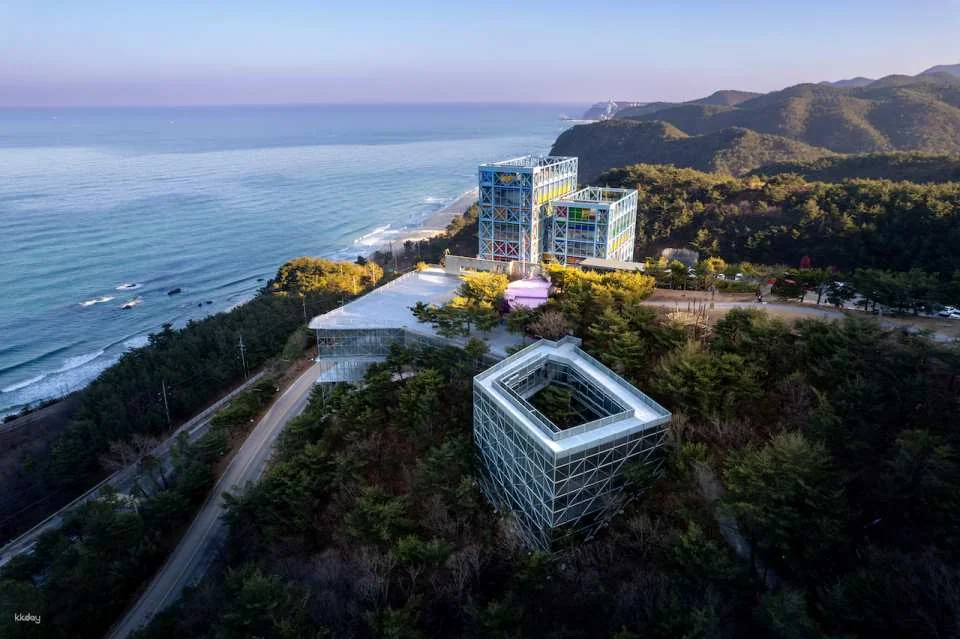 Haslla Art World Gangneung: The most photogenic art museum with an ocean view