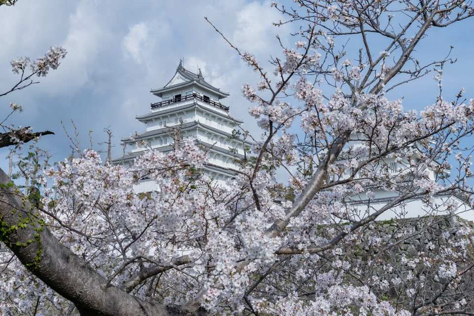 Have Fun in Kyushu 1 Week Free Pass