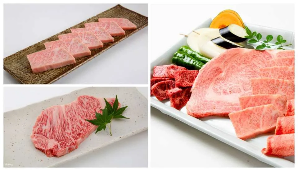 Have Fun in Tottori 1 Week Free Pass | Choose from 3 facilities with this great value ticket