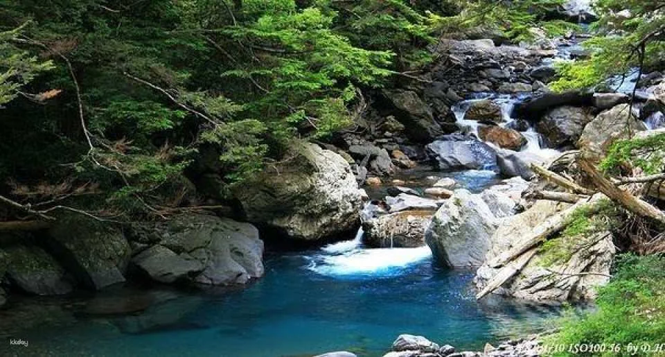 Hehuan Mountain Songxue Lodge, Huagang Tribe & Hehuan Creek Trail Day Tour in Nantou (Departing from Taichung) | Taiwan