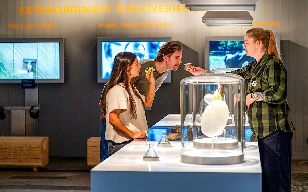 Home of Carlsberg Experience Entry Ticket Image 3
