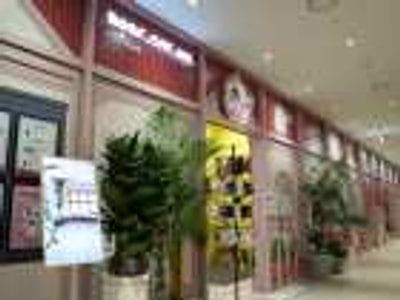 ROOF CAT ME Cat Cafe Weekday Discount Admission Ticket