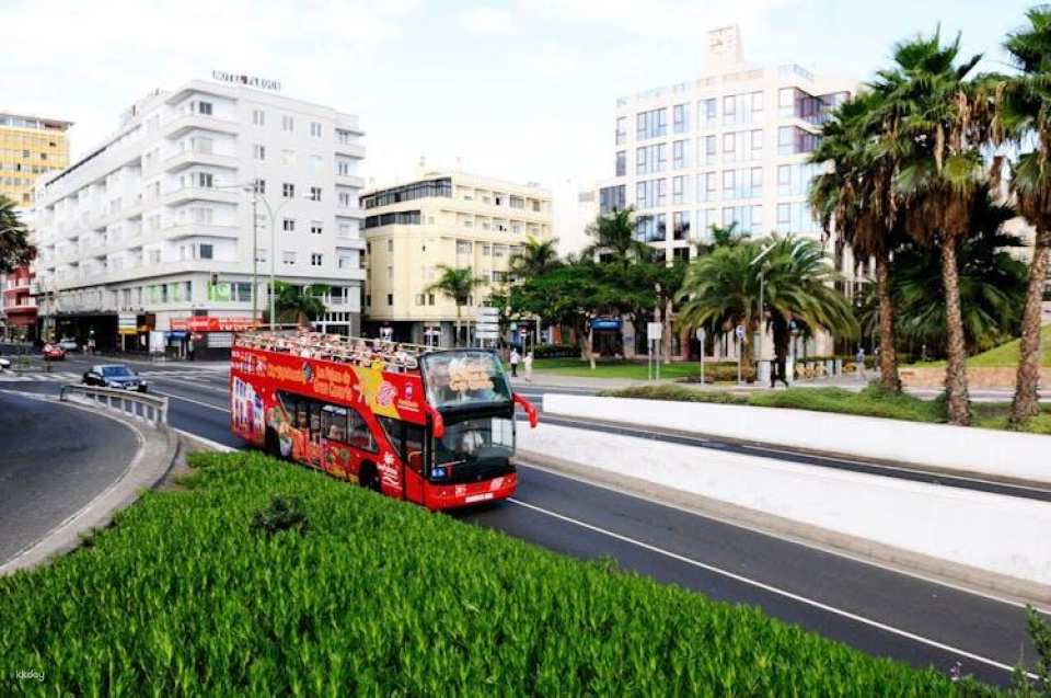 Hop-On Hop-Off Las Palmas de Gran Canaria 24hr Bus
