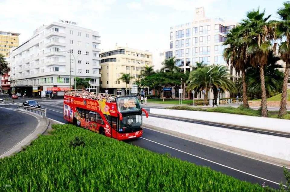 Hop-On Hop-Off Las Palmas de Gran Canaria 24hr Bus