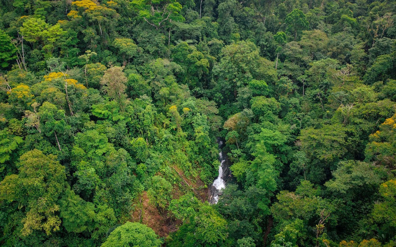Horseback Riding Tour through the Jungle from Manuel Antonio Image 3