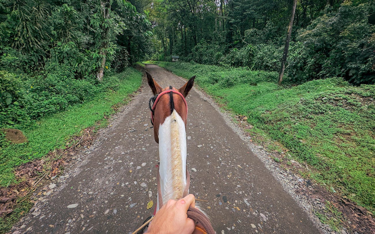 Horseback Riding Tour through the Jungle from Manuel Antonio Image 5