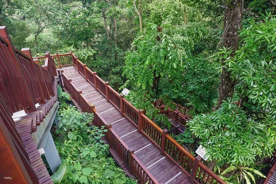 Hsinchu Frog Rock Skywalk Ticket
