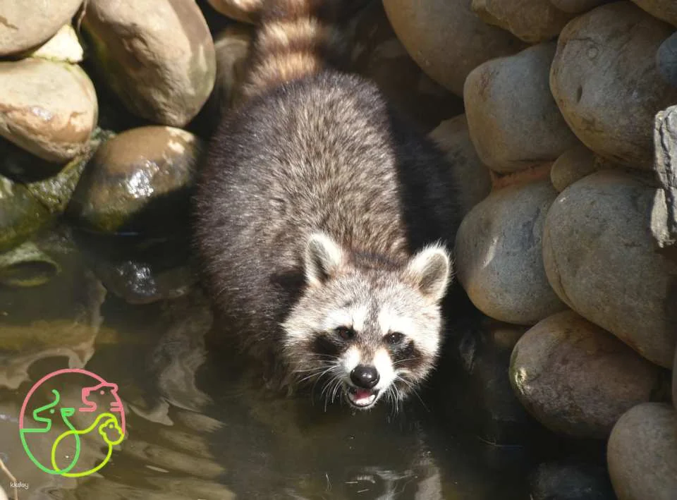 Hsinchu Zoo Tickets