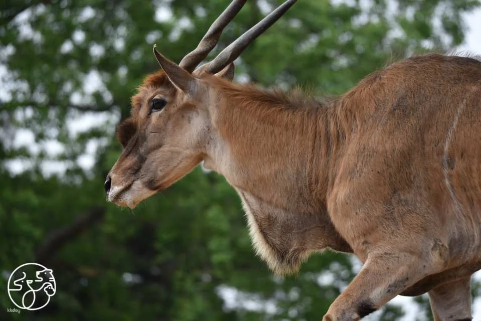 Hsinchu Zoo Tickets