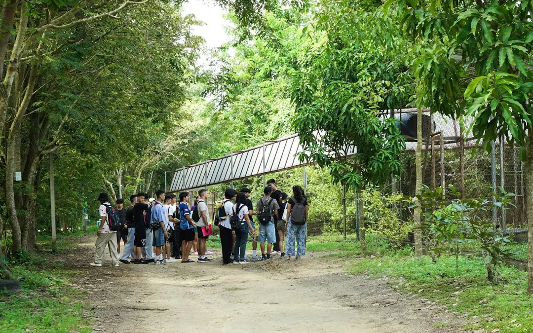 Hua Hin: Wildlife Friends Foundation Thailand Guided Visit with Elephant Observation and Thai Buffet Lunch Image 3