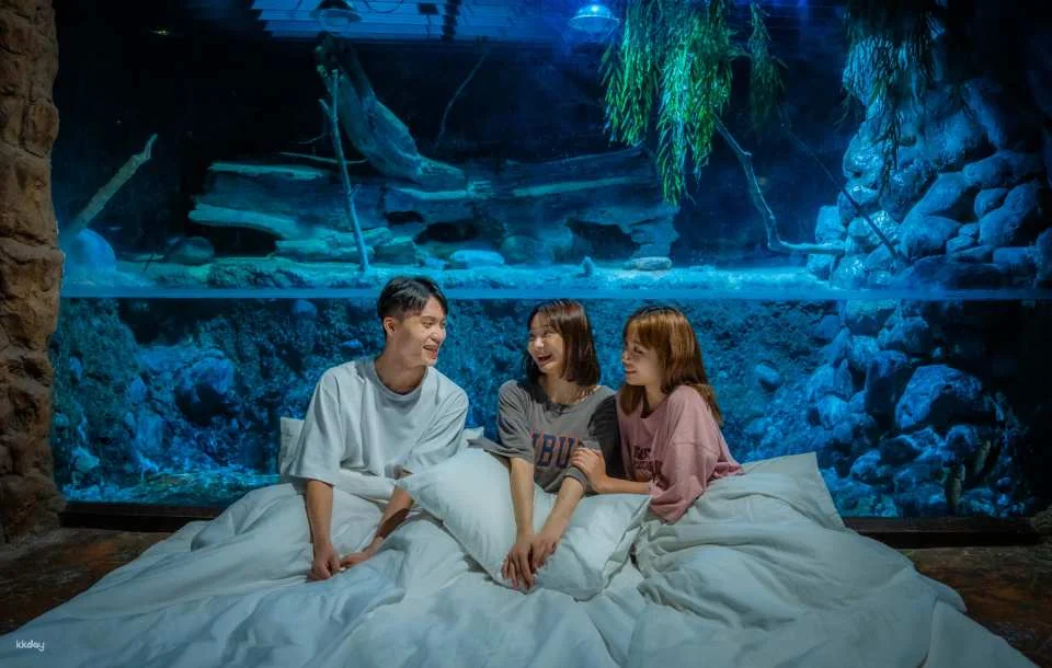 Hualien Farglory Ocean Park | Ocean Never Sleeps