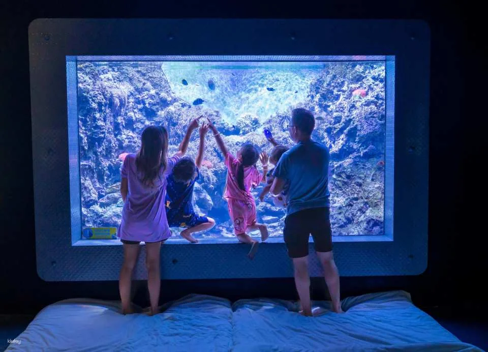 Hualien Farglory Ocean Park | Ocean Never Sleeps