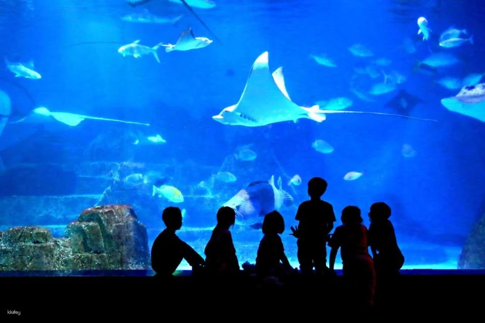 Hualien Farglory Ocean Park | Ocean Never Sleeps