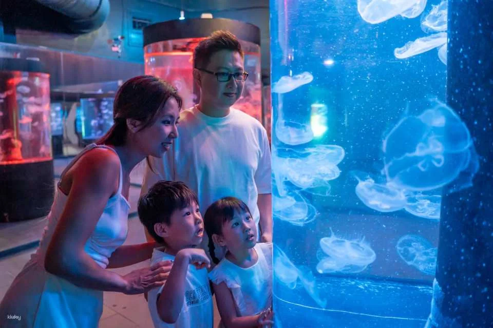 Hualien Farglory Ocean Park | Ocean Never Sleeps
