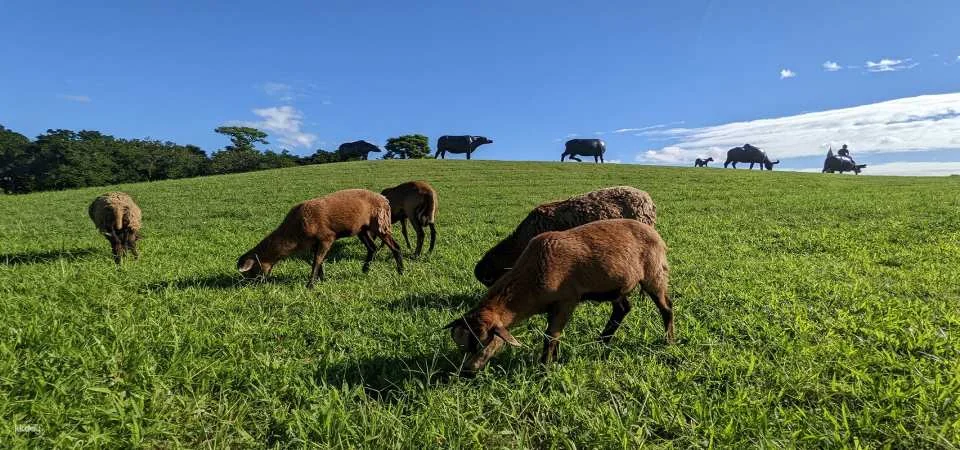 Hualien Shin Kong Chao Feng Leisure Farm Tickets